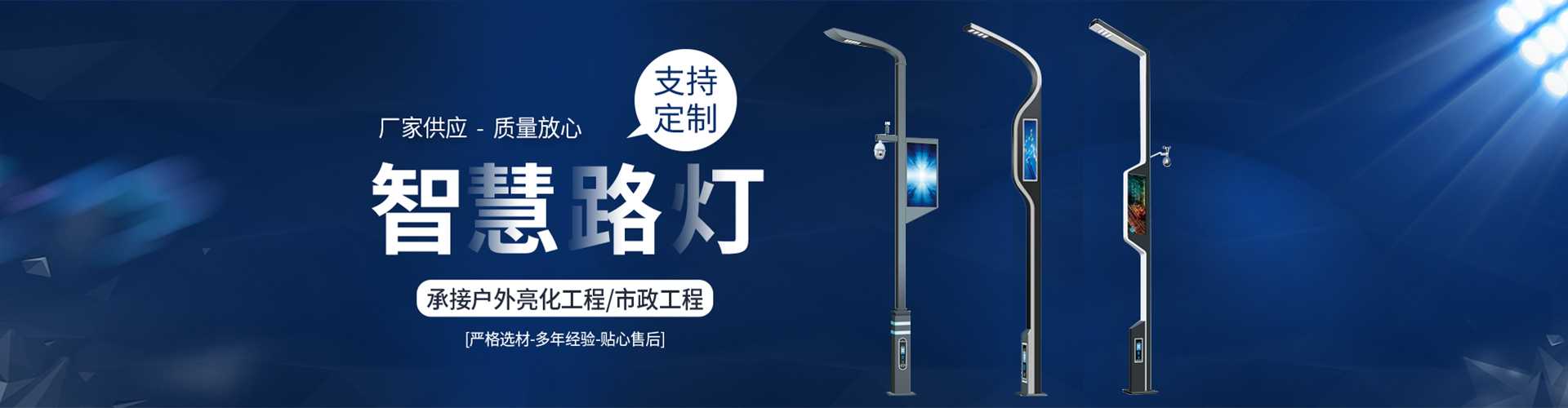 舒城县太阳能路灯定制厂家
