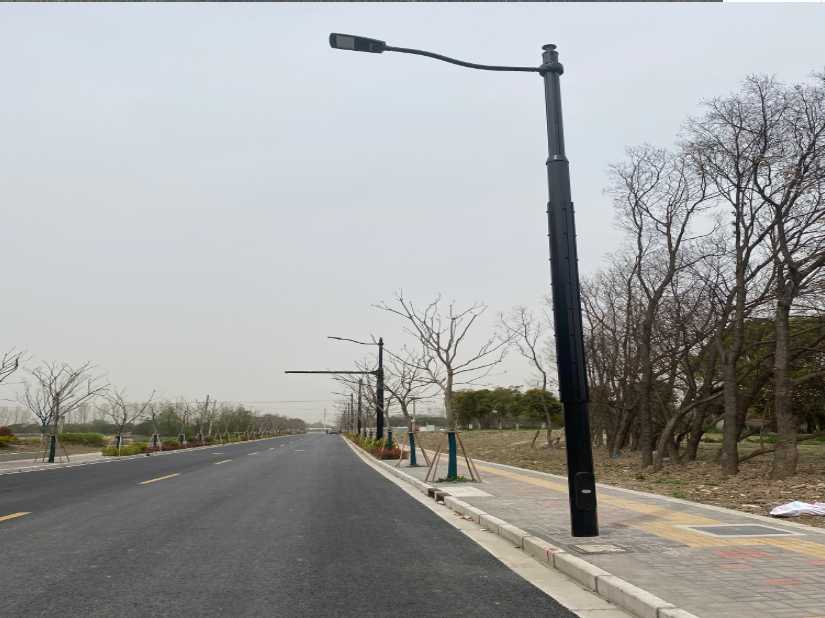 舒城县上海综合杆 太阳能路灯工程